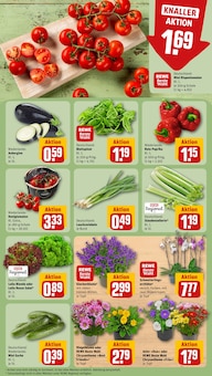 Tomaten im REWE Prospekt "Dein Markt" mit 26 Seiten (Mainz)