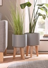 Aktuelle Blumentopf Angebote bei Kibek in Fürth Aktuelles Simply Grey Pflanztopf 25 x 25 x 41 cm Angebot bei Kibek in Fürth ab 29,99 €