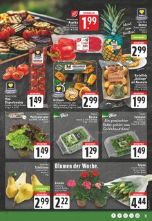 Geranien im aktuellen E center Prospekt (Hamm) Geranien im E center Prospekt "Aktuelle Angebote" mit 30 Seiten (Hamm)