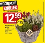 Angebot im WEZ Hüllhorst Prospekt WEZ Hüllhorst Prospekt mit im Angebot für 12,99 €