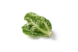 Lidl Timmenrode - Deutscher Mini Romana Angebot im Prospekt Deutscher Mini Romana bei Lidl im Timmenrode Prospekt für 1,99 €