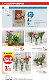 Plantes Angebote im Prospekt "Super U" von Super U auf Seite 36