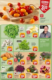 Blumen im REWE Prospekt in Wetzlar Aktueller REWE Prospekt mit Blumen, "Dein Markt", Seite 7