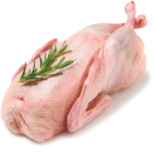 Aktuelles Frische junge Ente Angebot bei Netto mit dem Scottie in Cottbus ab 4,99 €