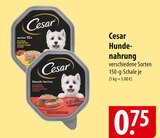 Cesar Hundenahrung Angebote bei famila Nordost Neumünster für 0,75 €