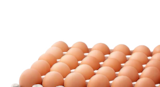 Oeufs x30 Calibre S dans le catalogue Hmarket
