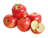 Aktuelle Äpfel Angebote bei REWE in Ludwigshafen (Rhein) Aktuelles Snack Äpfel Angebot bei REWE in Ludwigshafen (Rhein) ab 1,99 €