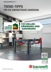 Aktueller Delmes Bauwelt Baumarkt Prospekt in Kakenstorf und Umgebung, "Trend-Tipps FÜR DIE ENERGETISCHE SANIERUNG" mit 10 Seiten, 13.05.2024 - 23.05.2024
