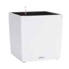 Aktuelles Pflanzgefäß „Cube Cottage“ Angebot bei OBI in Erlangen ab 34,99 €