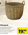 Hagebaumarkt Hörstel Prospekt mit  im Angebot für 19,99 €