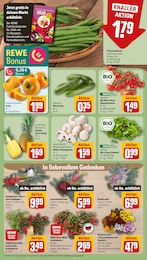 REWE Farbe im Prospekt REWE Farbe im Prospekt