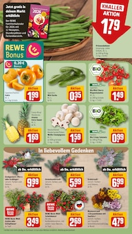 Pflanzen im aktuellen REWE Prospekt (Braunschweig) Pflanzen im REWE Prospekt "Dein Markt" mit 22 Seiten (Braunschweig)