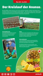 Ananas Angebot & Preis im aktuellen Penny Prospekt Ananas Angebot im aktuellen Penny Prospekt auf Seite 5