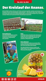 Ananas Angebot im aktuellen Penny Prospekt auf Seite 5