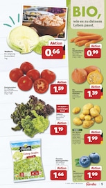 Tomaten im famila Nordwest Prospekt in Lingen Aktueller famila Nordwest Prospekt mit Tomaten, "Markt - Angebote", Seite 5