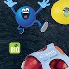 Bio Tafeläpfel im Angebot bei Marktkauf in Altenburg Bio Tafeläpfel Angebote von Cosmic Crisp bei Marktkauf Altenburg für 2,99 €