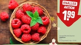 Himbeeren Angebote bei REWE Memmingen für 1,99 €