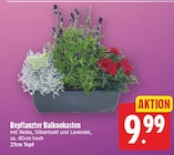 Bepflanzter Balkonkasten für 9,99 € bei E center im Angebot Bepflanzter Balkonkasten im aktuellen E center Prospekt