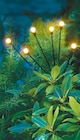 Solar-Gartenstecker Glühwürmchen für 3,99 € bei Netto mit dem Scottie im Angebot Solar-Gartenstecker Glühwürmchen im aktuellen Netto mit dem Scottie Prospekt