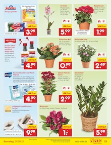Pflanzen im aktuellen Netto Marken-Discount Prospekt (Jena) Pflanzen im Netto Marken-Discount Prospekt "Aktuelle Angebote" mit 61 Seiten (Jena)