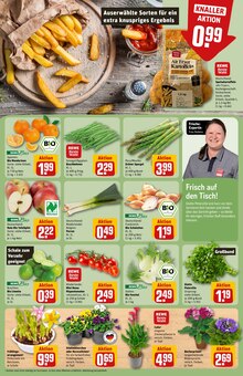 Tomaten im REWE Prospekt "Dein Markt" mit 38 Seiten (Braunschweig)