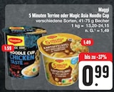 5 Minuten Terrine von Maggi im aktuellen E center Prospekt für 0,99 €