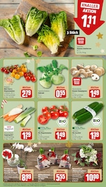 Ähnliche Angebote wie Terrarium im Prospekt "Dein Markt" auf Seite 9 von REWE in Wiesbaden