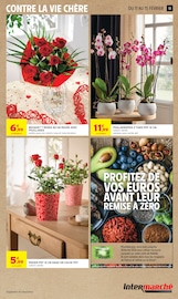 Orchidée Angebote im Prospekt "JUSQU'À 20€ OFFERTS EN BONS D'ACHAT SUR LE RAYON SURGELÉS" von Intermarché Super auf Seite 13
