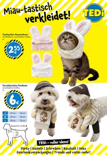Tierkostüm im TEDi Prospekt "TEDi - voller Ideen!" mit 29 Seiten (Mannheim)
