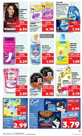 Steine im Kaufland Prospekt in Mühlhausen Aktueller Kaufland Prospekt mit Steine, "KNÜLLER", Seite 45