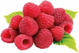 EDEKA Wietmarschen - Himbeeren Angebot im Prospekt Himbeeren bei EDEKA im Wietmarschen Prospekt für 2,49 €