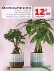 Mixte plantes vertes - BRIM dans le catalogue Super U