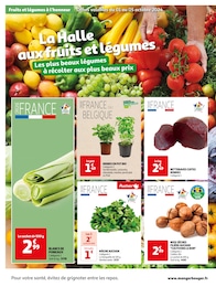 Offre Menthe dans le catalogue Auchan Hypermarché du moment à la page 2