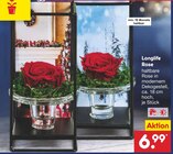 Longlife Rose im Netto Marken-Discount Prospekt Longlife Rose im aktuellen Netto Marken-Discount Prospekt für 6,99 €