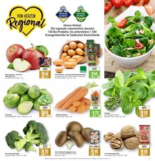 Äpfel im Marktkauf Prospekt "Aktuelle Angebote" mit 55 Seiten (Freiburg (Breisgau))