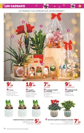Jardinage Angebote im Prospekt "Super U" von Super U auf Seite 42