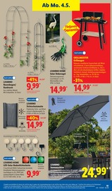 Aktueller Lidl Prospekt mit Garten, "LIDL LOHNT SICH", Seite 37
