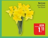 Aktuelles Narzissen Angebot bei Marktkauf in Leipzig ab 1,11 €