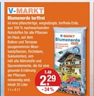 Blumenerde torffrei Angebote von V-MARKT bei V-Markt Kaufbeuren für 2,29 €
