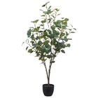 Kunstpflanze im aktuellen POCO Prospekt