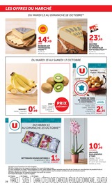 Promos Orchidée dans le catalogue "LES PRODUITS U À PRIX BAS" de Super U Orchidée en promo dans le catalogue Super U à la page 28