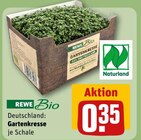 Gartenkresse Angebote von REWE Bio bei REWE Kempten für 0,35 €