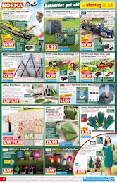 Damenbekleidung im Norma Prospekt Damenbekleidung im Norma Prospekt Mehr fürs Geld auf S. 4