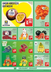 Aktueller Marktkauf Prospekt mit Äpfel, "AUSWAHL RIESIG, PREISE NIEDRIG", Seite 8