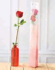 Rose en vase en promo chez Super U Rouen à 8,99 €