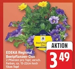 Beetpflanzen-Duo von EDEKA Regional für 3,49 € bei EDEKA im Angebot Beetpflanzen-Duo von EDEKA Regional im aktuellen EDEKA Prospekt