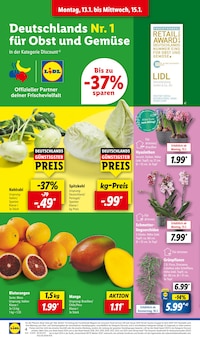 Calathea Angebot im aktuellen Lidl Prospekt auf Seite 6