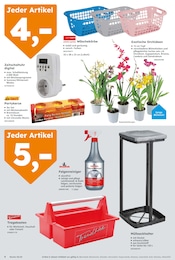 Orchidee im Globus-Baumarkt Prospekt in Dresden Aktueller Globus-Baumarkt Prospekt mit Orchidee, "Immer eine Idee besser", Seite 4