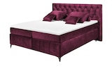 Aktuelles meinBett Boxspringbett Pembroke Angebot bei Höffner in Mönchengladbach ab 1.519,00 €