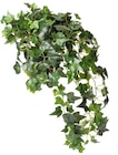 Aktuelles Topfpflanzen aus Kunstmaterialien Angebot bei Rusta in Jena ab 12,90 €